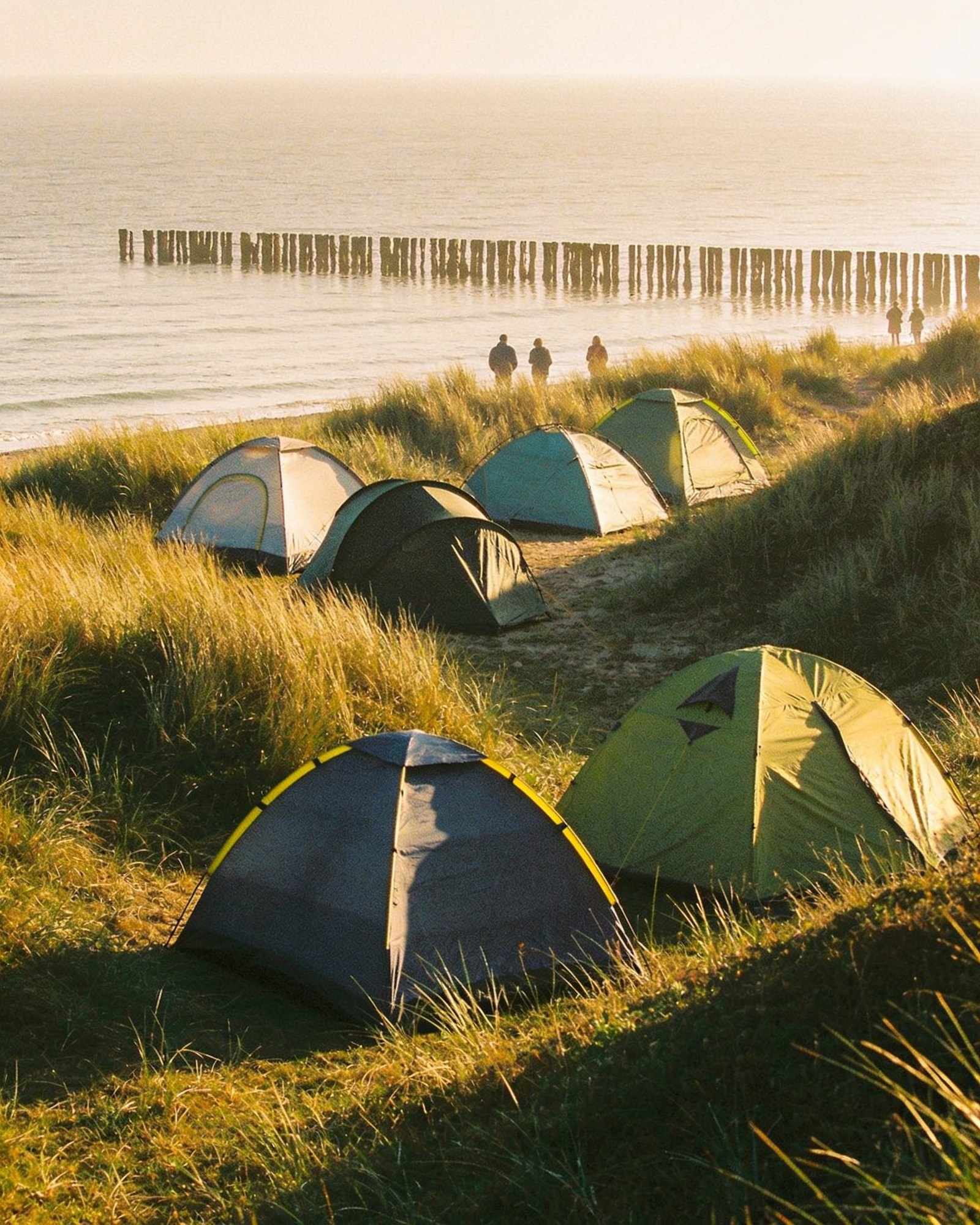 Tents among grassy dunes in early morning light, with the sea and a row of old wooden posts running into the water